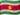 Suriname Flag