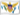 The US Virgin Islands Flag