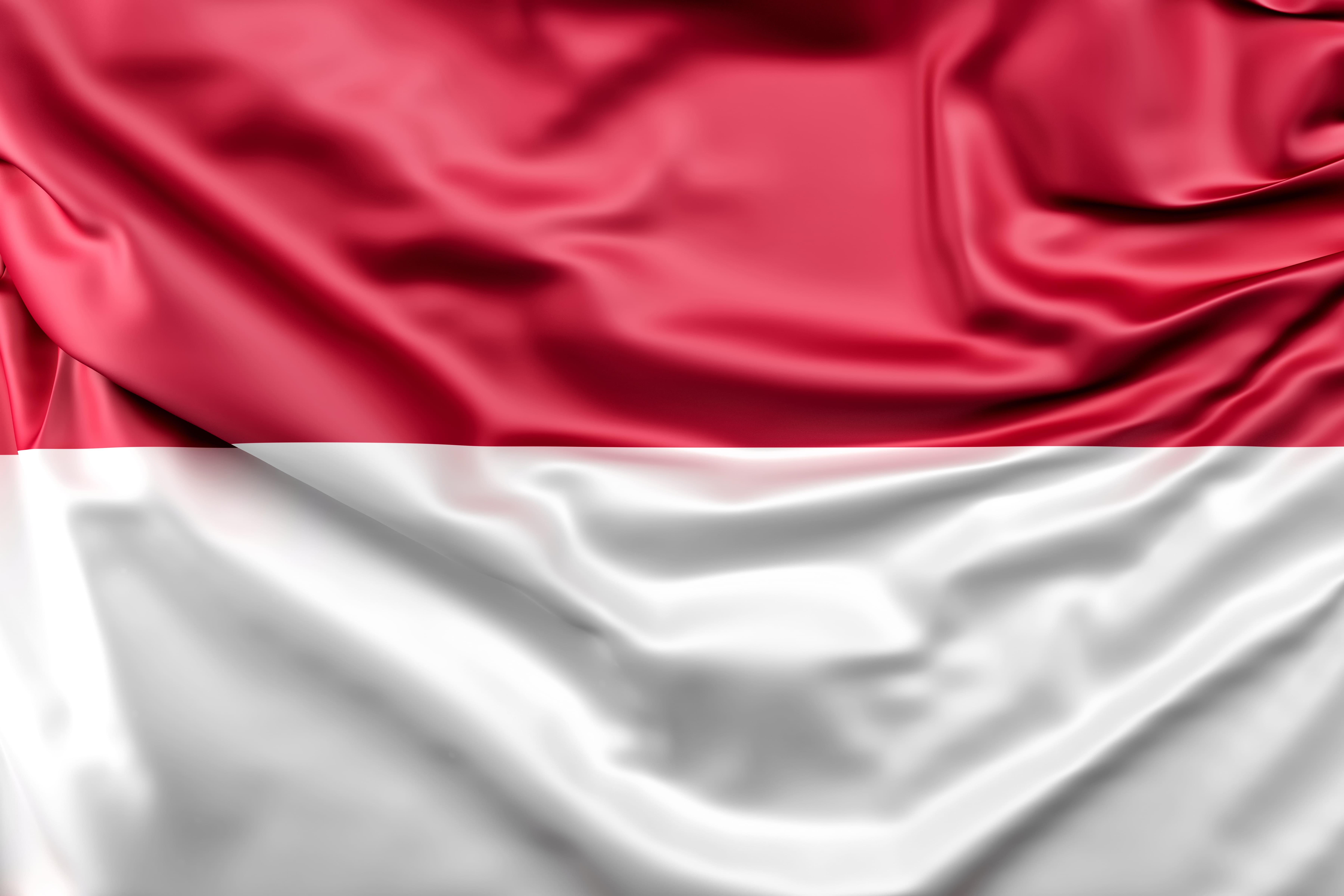 Import Challenges in Indonesia